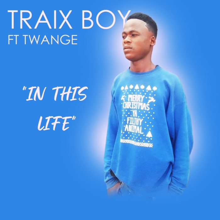 Song Cover